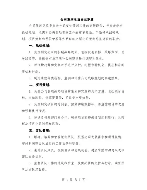 公司策划总监岗位职责
