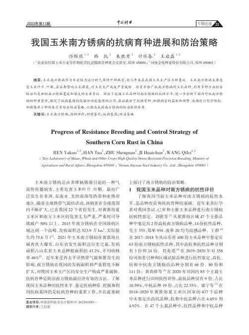 我国玉米南方锈病的抗病育种进展和防治策略