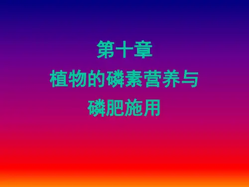 【2019年整理】植物的磷素营养与磷肥施用