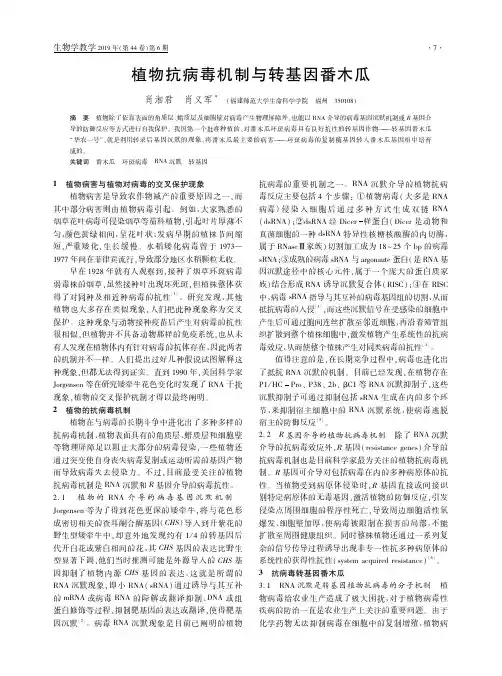 植物抗病毒机制与转基因番木瓜