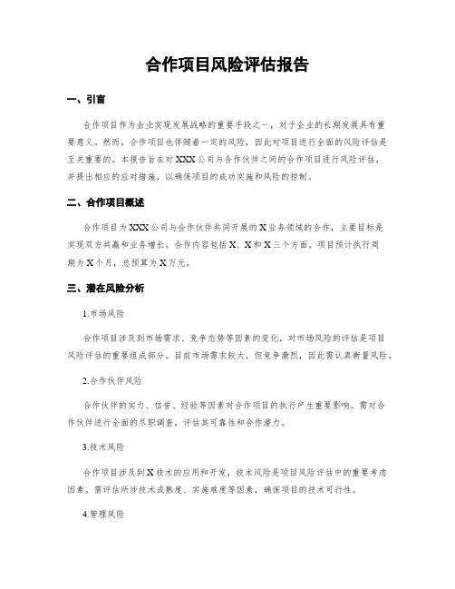 合作项目风险评估报告
