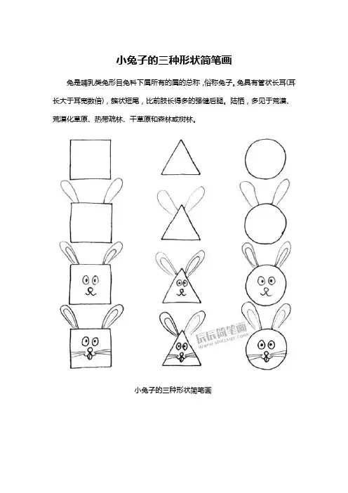 小白兔简笔画