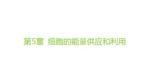 人教版高中生物学必修1精品课件 第5章 细胞的能量供应和利用 第4节 第2课时 光合作用的原理和应用