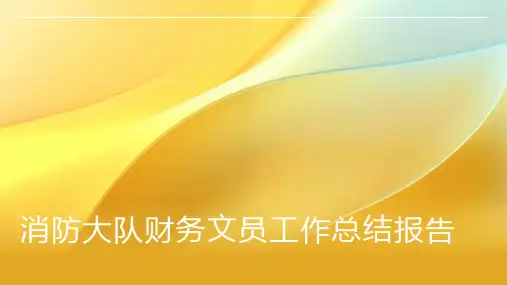 消防大队财务文员工作总结