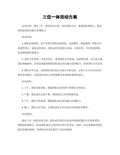 三位一体活动方案