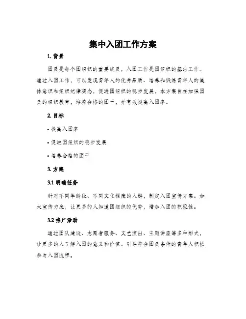 集中入团工作方案
