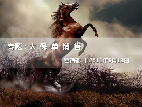解读私人财富报告(大保单销售)