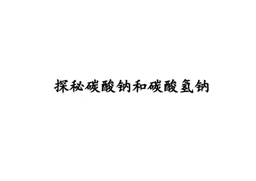探究 碳酸钠和碳酸氢钠 课件 高中化学人教版(2019)必修第一册