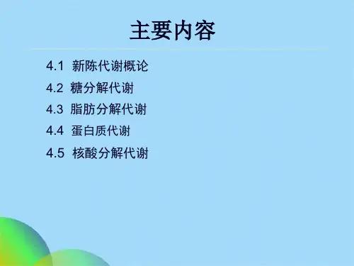 细胞内生物分子的新陈代谢(共31张PPT)