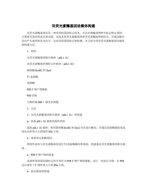 双荧光素酶基因法载体构建