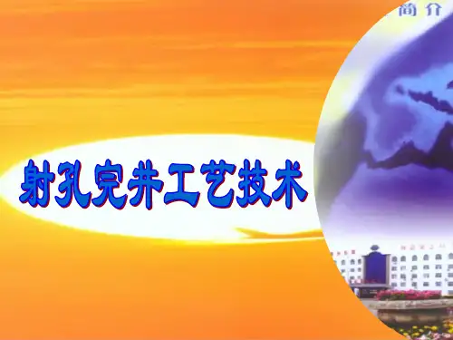 《射孔完井工艺技术》课件