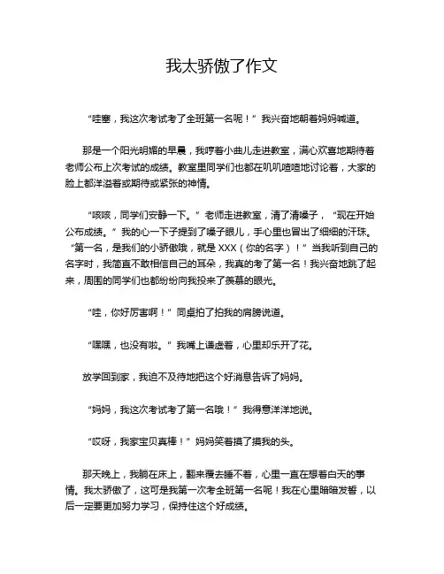 我太骄傲了作文