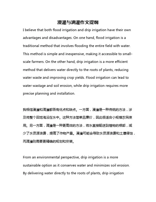 漫灌与滴灌作文提纲