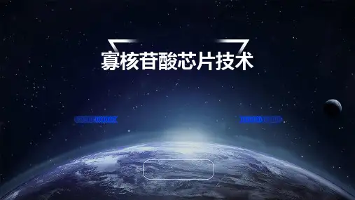 寡核苷酸芯片技术