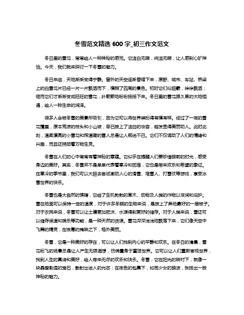 冬雪范文精选600字_初三作文范文