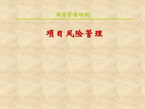 项目风险管理