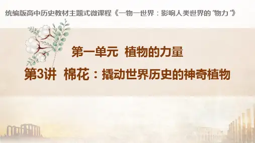 棉花：撬动世界历史的神奇植物(PPT)