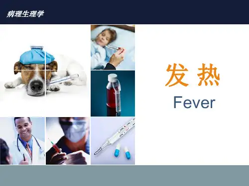 病理生理学——发热