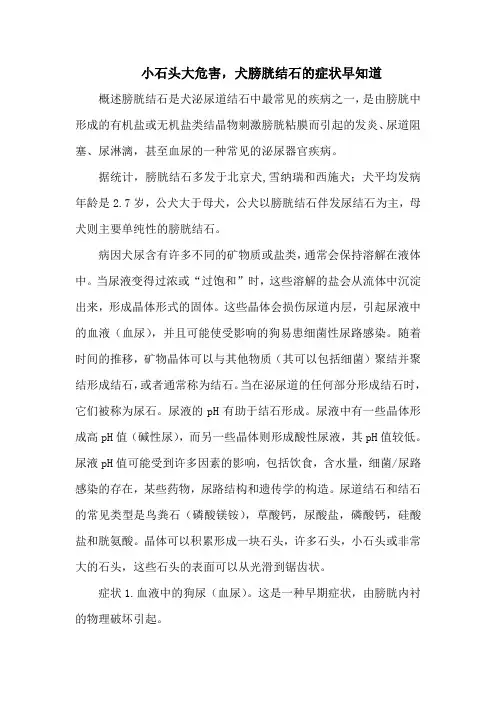 小石头大危害,犬膀胱结石的症状早知道