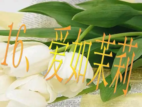 (苏教版)五年级语文课件_爱如茉莉