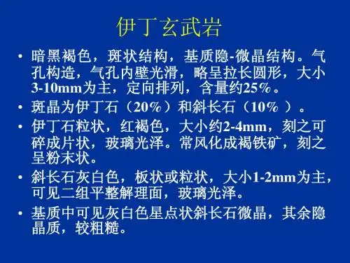 4沉积岩实习 夏冰