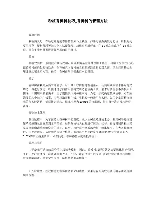 种植香樟树技巧_香樟树的管理方法