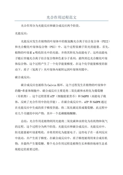 光合作用过程范文