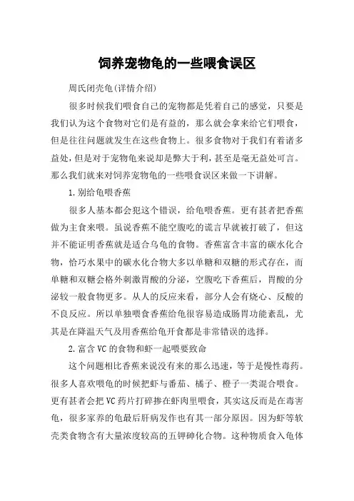 饲养宠物龟的一些喂食误区