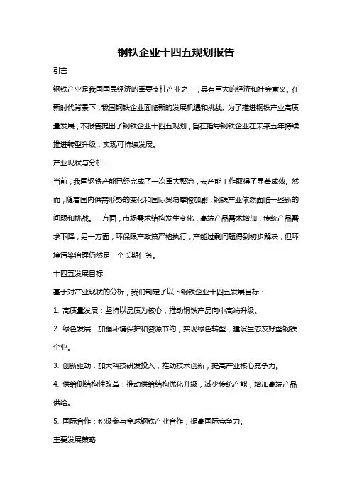 钢铁企业十四五规划报告