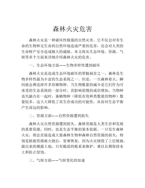 森林火灾危害