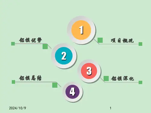 铝模深化总结ppt幻灯片课件.ppt