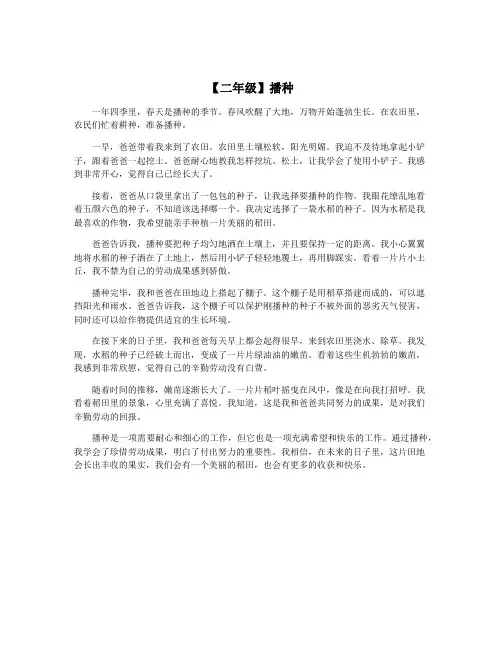 【二年级】播种