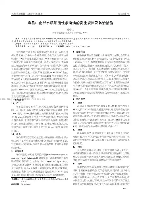 寿县中南部水稻细菌性条斑病的发生规律及防治措施