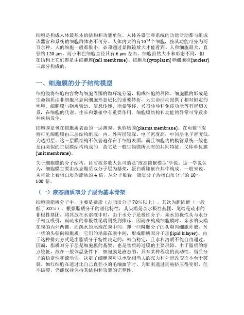 细胞膜的基本结构和功能