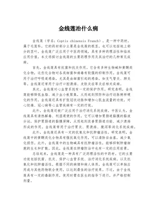 金线莲治什么病