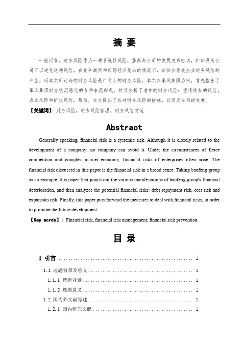 企业财务风险与问题研究-以暴风科技股份有限公司为例