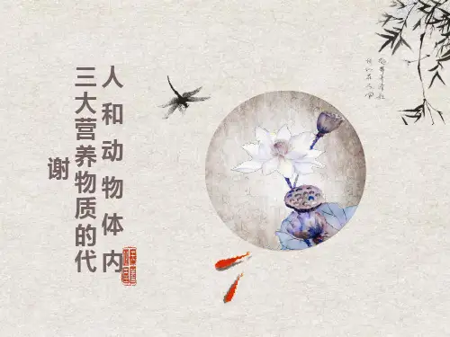 三大营养物质的代谢
