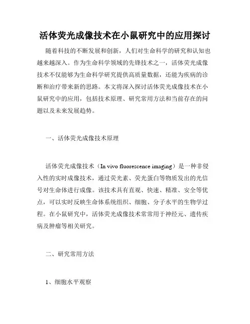 活体荧光成像技术在小鼠研究中的应用探讨