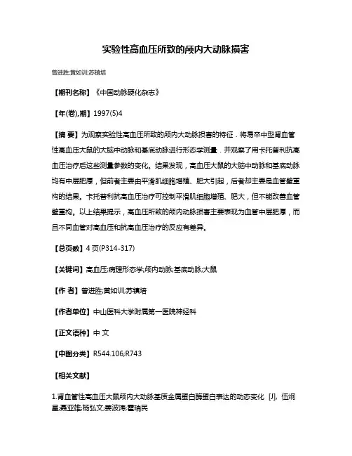 实验性高血压所致的颅内大动脉损害