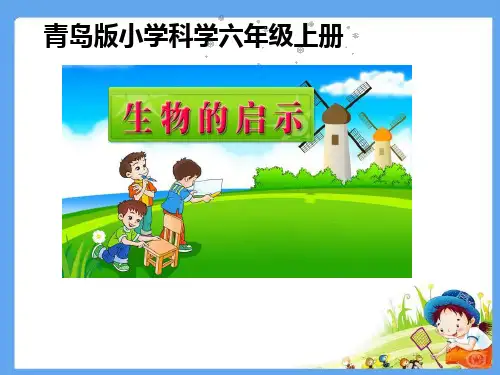小学科学_青岛版小学科学六年级上册生物的启示教学课件设计