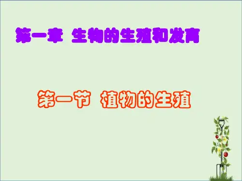 八年级生物下册-植物的生殖..