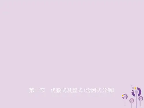 潍坊专版19中考数学复习第1部分第一章数与式第二节代数式及整式含因式分解课件