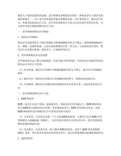 老年肺癌的靶向治疗方案