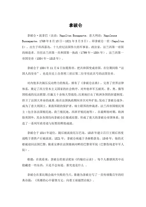 文档：拿破仑
