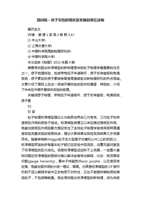 别问啦～缪子实验的现状及发展前景在这呢