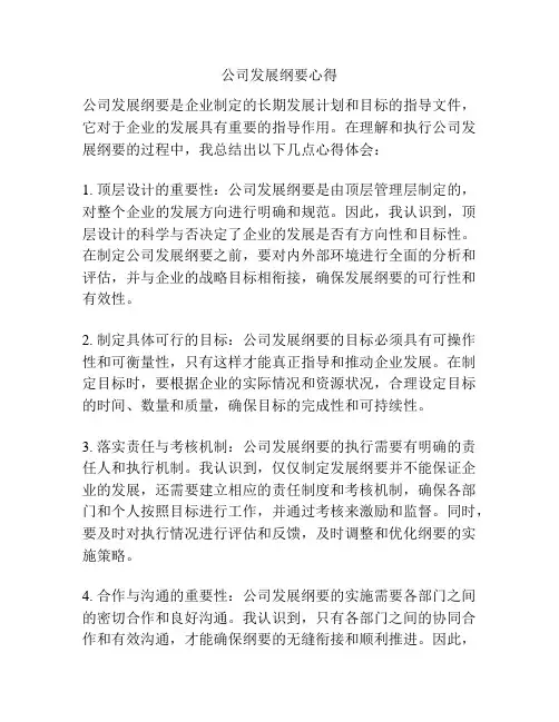 公司发展纲要心得