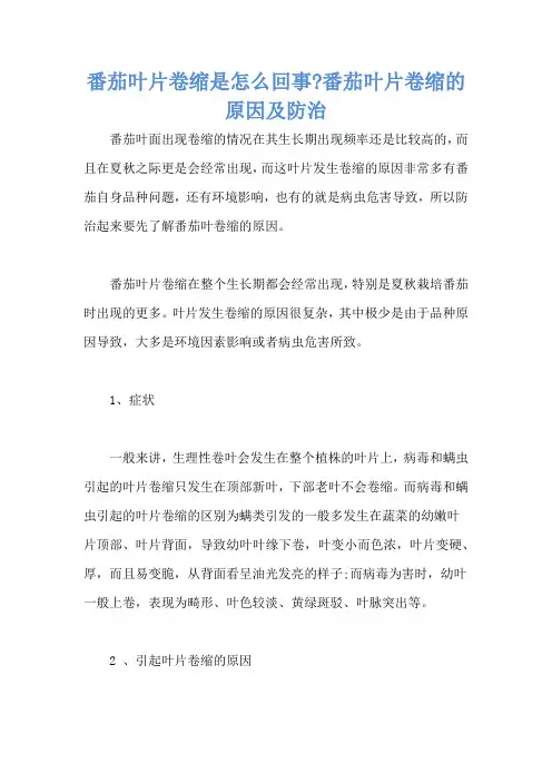 番茄叶片卷缩是怎么回事-番茄叶片卷缩的原因及防治
