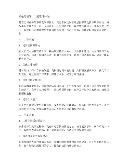 中层提职个人工作总结