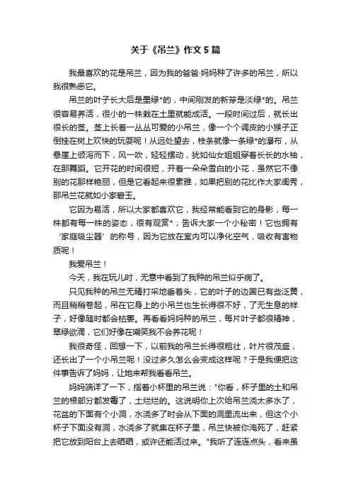 关于《吊兰》作文5篇