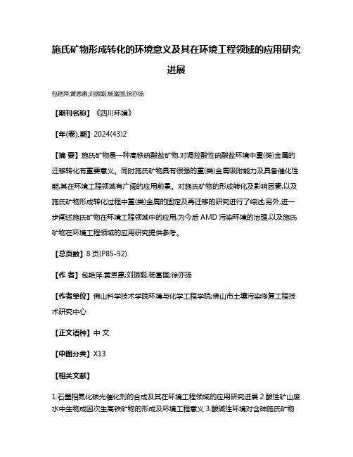 施氏矿物形成转化的环境意义及其在环境工程领域的应用研究进展